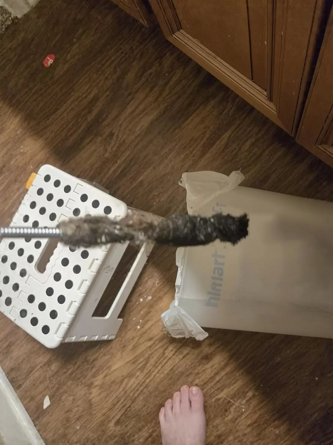 Customer review photo for Septic Backup vs Clogged Line: How to Tell Them Apart