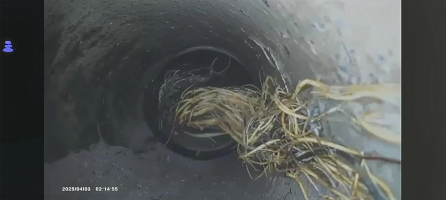Customer photo of drain snake tool removing hair and debris from clogged bathroom drain