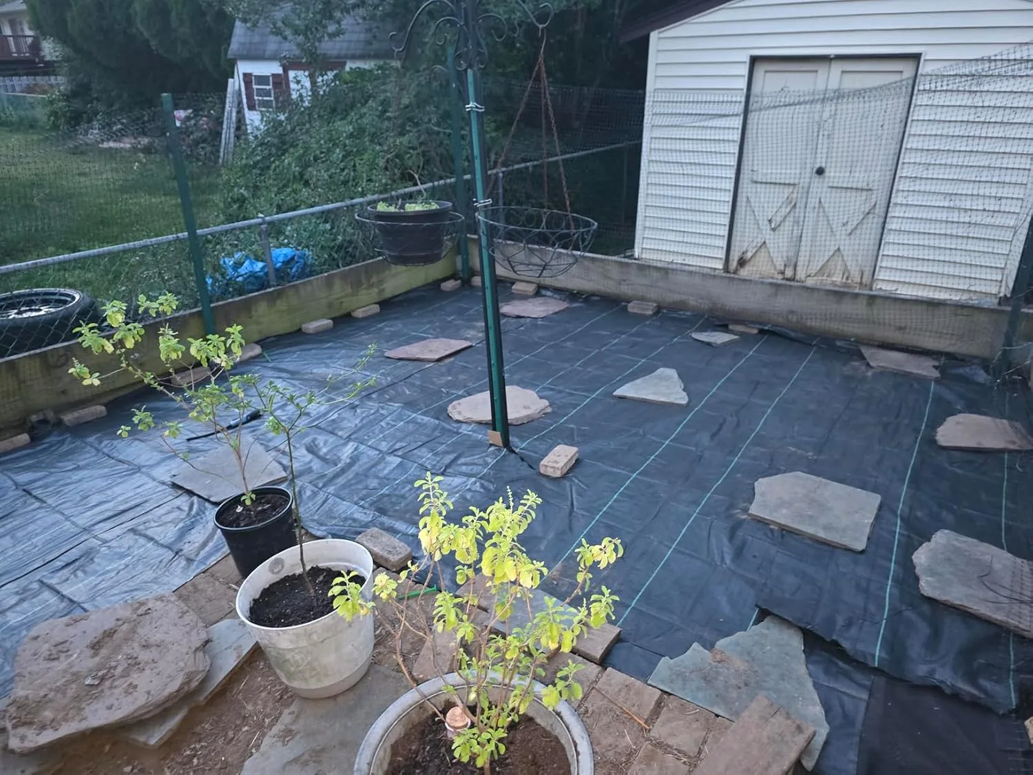 Customer review photo for Keeping Roots Out of Your Septic Lines