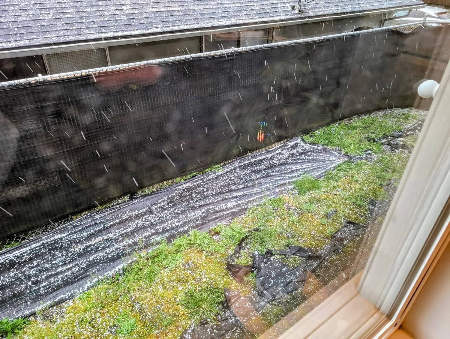 Customer photo of [describe what's visible - e.g., product packaging, the root barrier in use, installation example, etc.]