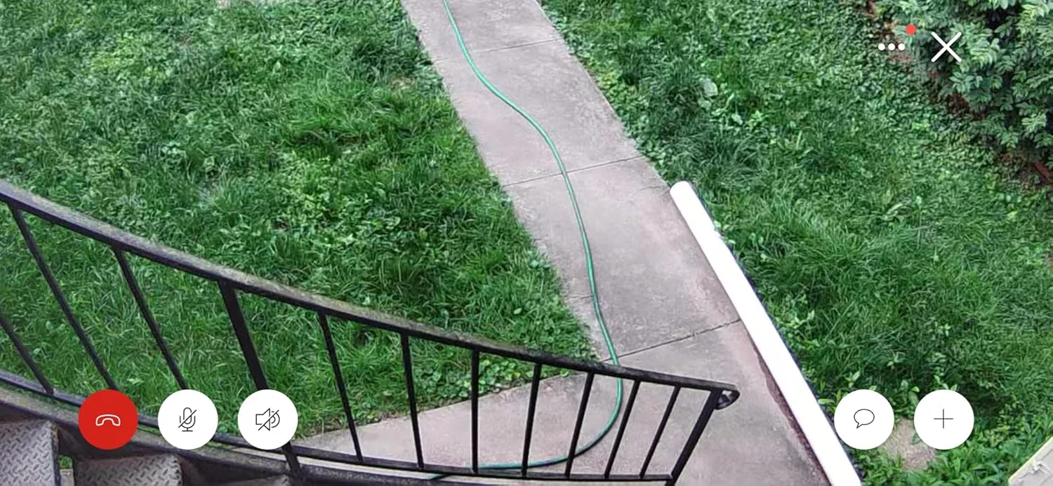 Customer review photo for What to Plant Over a Drainfield and What Will Wreck It